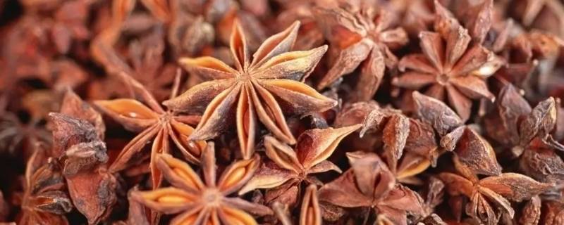 大茴香小茴香区别 大茴与小茴香的区别