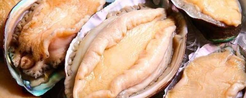 鲍鱼怎么冷冻 鲍鱼怎么冷冻保存