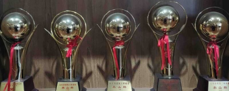 泰山杯属于什么奖项（泰山杯是什么级别的奖项）