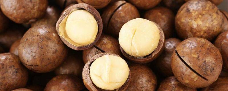 夏威夷果怎么挑选（夏威夷果推荐）