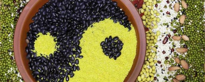 五谷是哪五种（五谷丰登的五谷是哪五种）