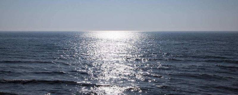 海平面是以哪个海为标准的（海平面是以哪个海为基准的）