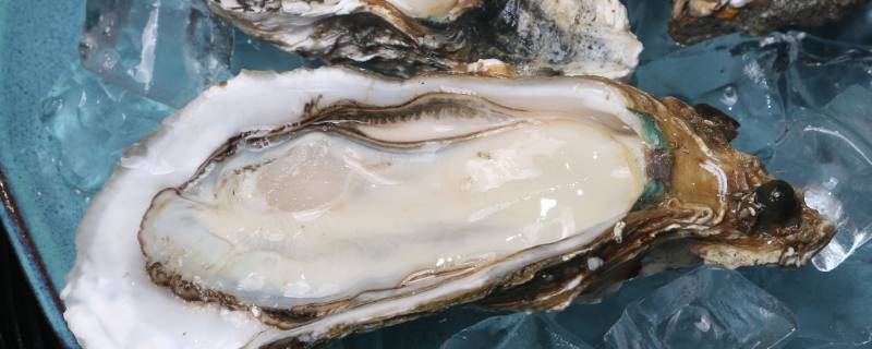 清水煮生蚝水开后要煮多久（生蚝水开了煮多久）