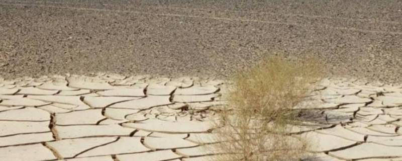 什么是荒漠化（什么是荒漠化?）