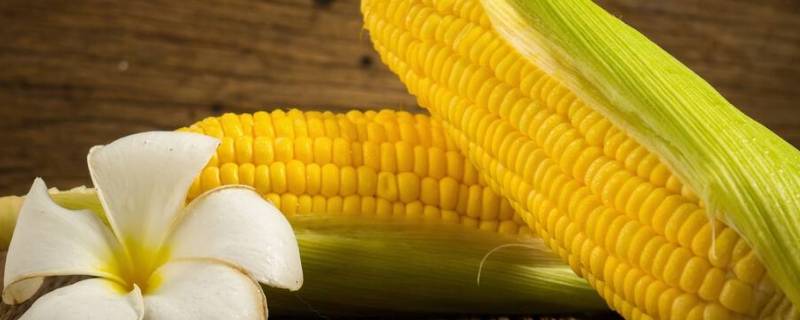 玉米放冰箱保鲜可以放多久（玉米放冰箱保鲜能放多久）