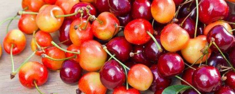 樱桃跟车厘子有啥区别（樱桃和车厘子什么区别）