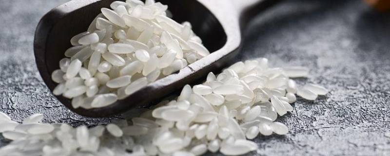 大米怕冻吗室外存放 大米可以长期放在冷冻室吗