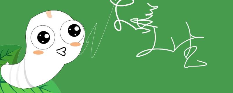 蚕属于什么种类动物 蚕是什么种类的动物