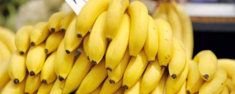 香蕉闻起来是什么味道 香蕉的香味闻起来是怎样的