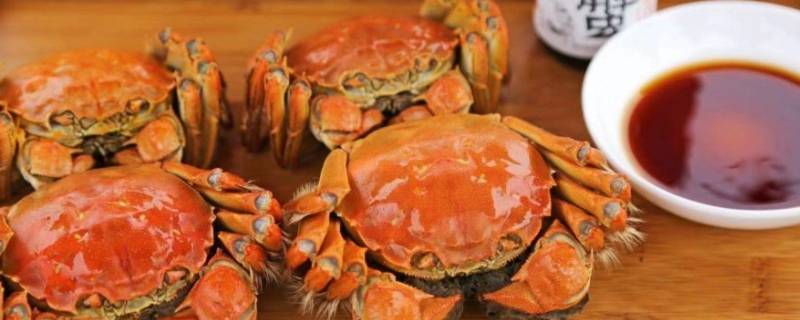 固城湖螃蟹特征 固城湖吃螃蟹的地方