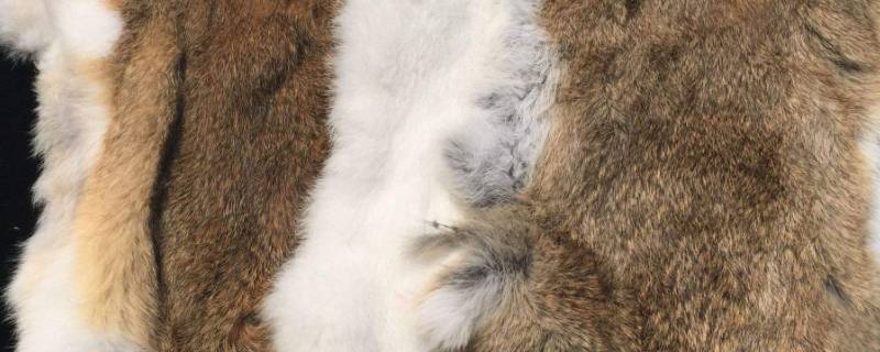人造皮毛一体可以水洗吗 人造皮能不能水洗