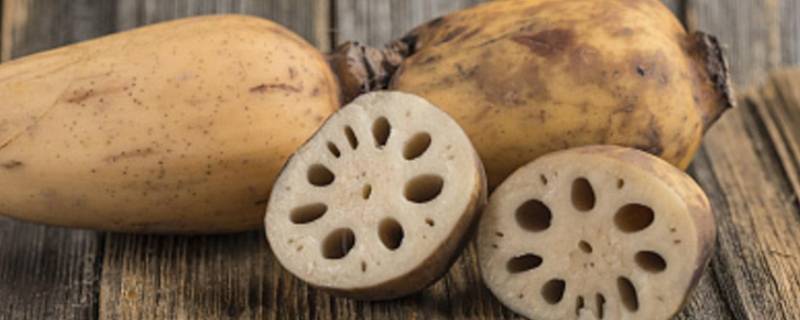 莲藕买头还是买尾（莲藕头好还是尾好）