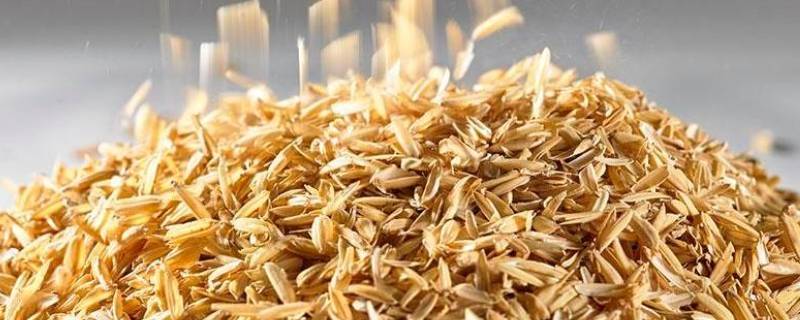 稻壳是什么（电脑稻壳是什么）