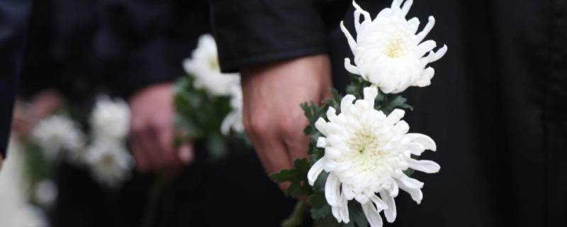 缅怀一般用在什么地方 什么的缅怀