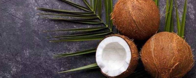 椰青的白色果肉有毒吗 椰青里面有果肉吗