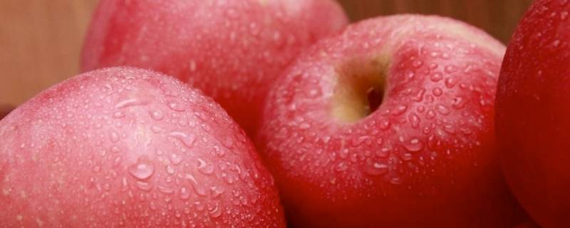 果蜡是什么 果蜡是什么制成的