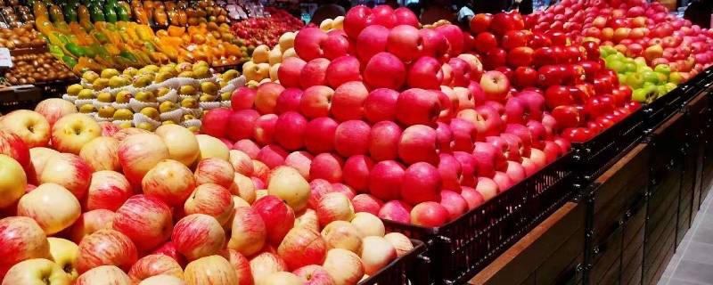 吉祥水果有哪些（吉祥水果图片大全）