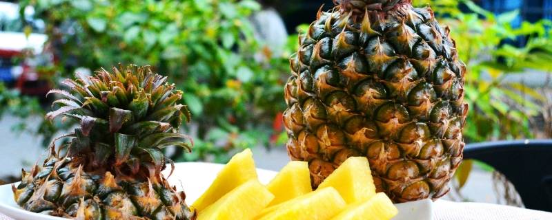 凤梨含糖量高不高（凤梨含糖量高不高,孕妇能吃么）