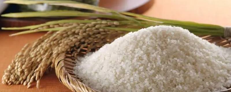稻谷怎么脱壳成米 稻谷怎么脱壳成米视频