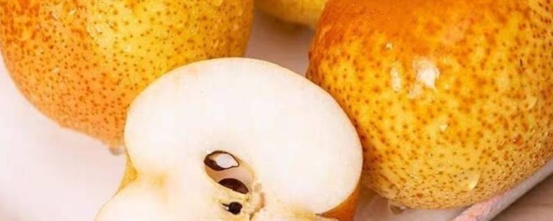 花盖梨是什么梨（花盖梨是什么意思）