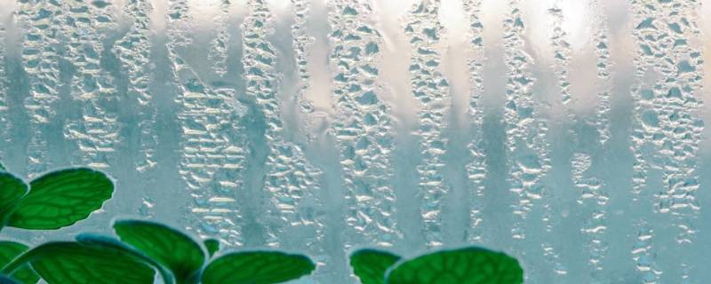 玻璃有哈气水什么原因 玻璃上有哈气水是什么原因