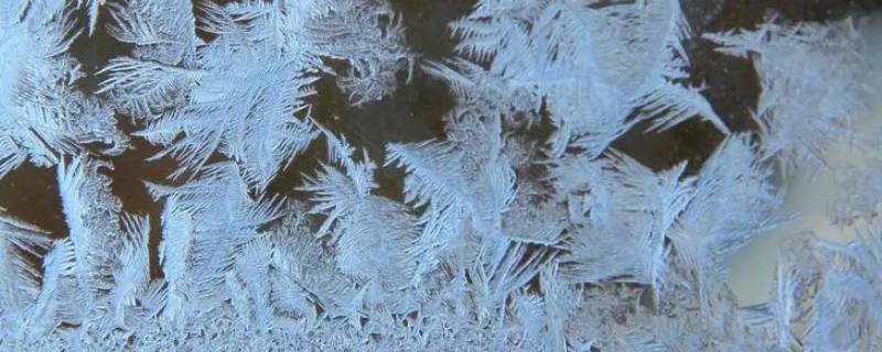 冰花是什么形状的为什么会出现冰花（冰花是什么形状的为什么会出现冰花呢）