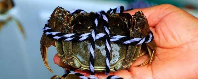 大闸蟹到几月份就没有了（大闸蟹吃到几月份就没有了）