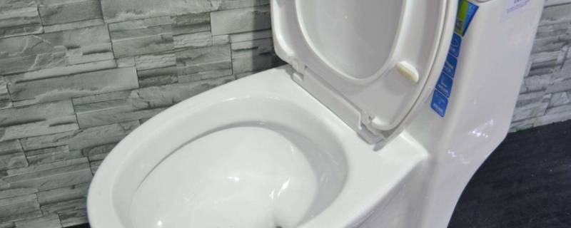 骨头堵住马桶要多久才会腐烂（骨头堵住马桶了怎么办）