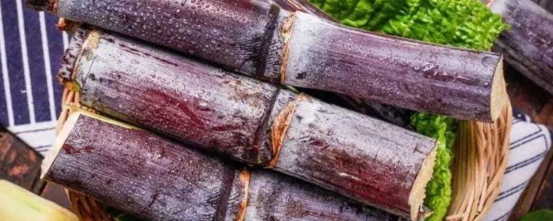 去皮甘蔗怎么保存（去皮甘蔗怎么保存更久）