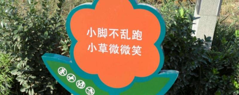 广场草坪上的标语牌是什么（广场的草坪上的标语牌是什么）
