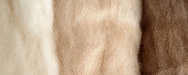 羊绒会缩水吗（羊绒毛会缩水吗）