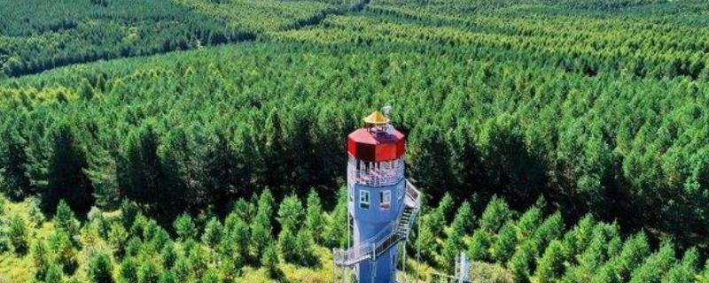 塞罕坝被人们称为什么（塞罕坝为什么叫塞罕坝）