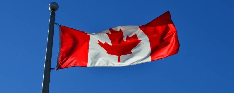 中间枫叶是哪个国家 枫叶在哪个国家