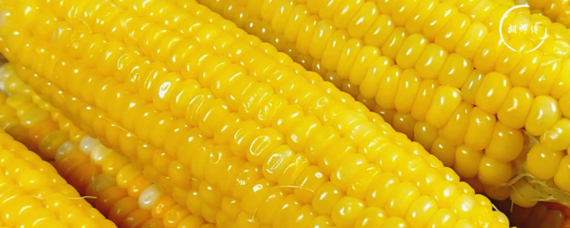 玉米沸水煮几分钟才能熟（玉米水煮多少分钟能熟）