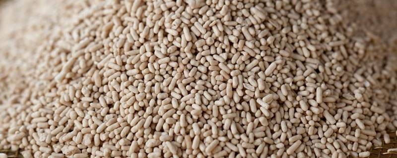 酵母是什么原料做成的 酵母是什么原料制成的