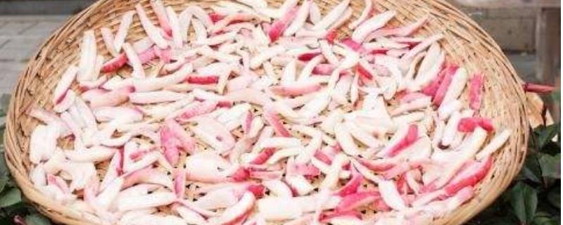 晒萝卜干晚上需要收回来吗（晒萝卜干晚上用拿屋里来吗）