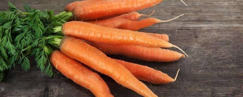 黄萝卜和胡萝卜区别（新疆黄萝卜和胡萝卜区别）