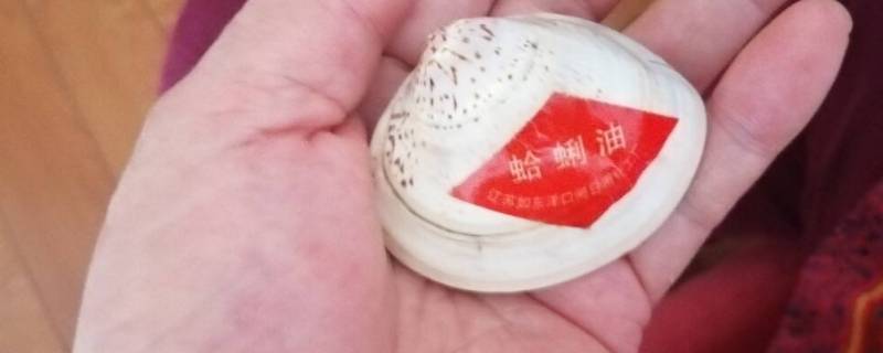 蛤蜊油是什么做的 蛤蜊油是用蛤蜊做吗