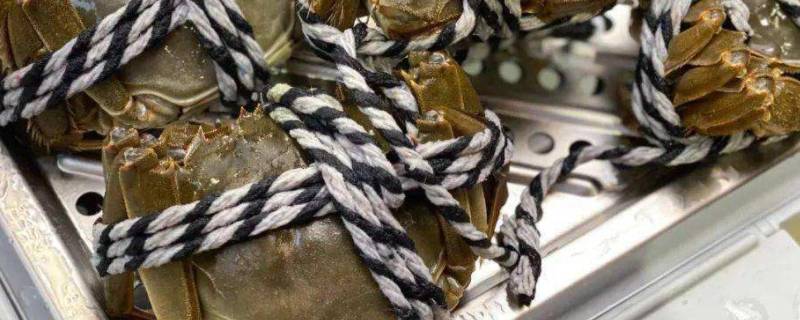 怎么捆大闸蟹教程（大闸蟹怎么捆扎）