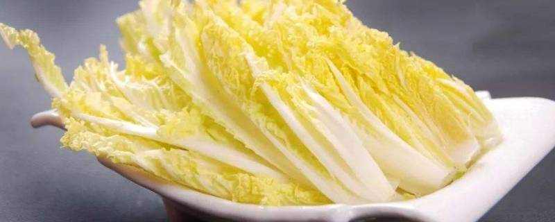 娃娃菜为什么不建议吃 娃娃菜吃不好
