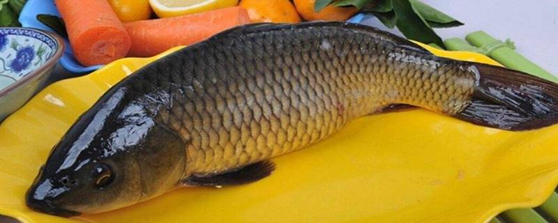 为什么要刮鱼鳞（怎么刮鱼鳞）