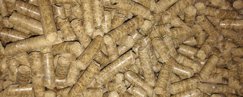 木材颗粒一般销往哪里（木材颗粒市场如何）