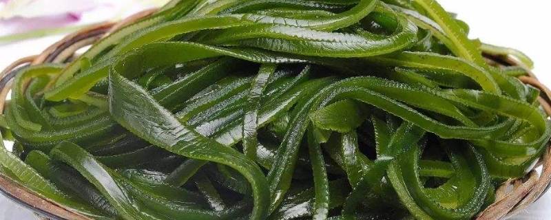 海带用冷水焯水还是开水焯水（海带热水焯水还是冷水焯水）