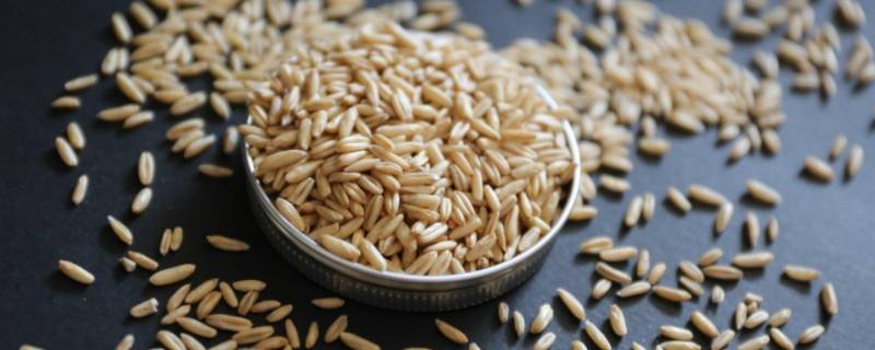 燕麦米煮多久才熟 燕麦米煮成什么样才算熟