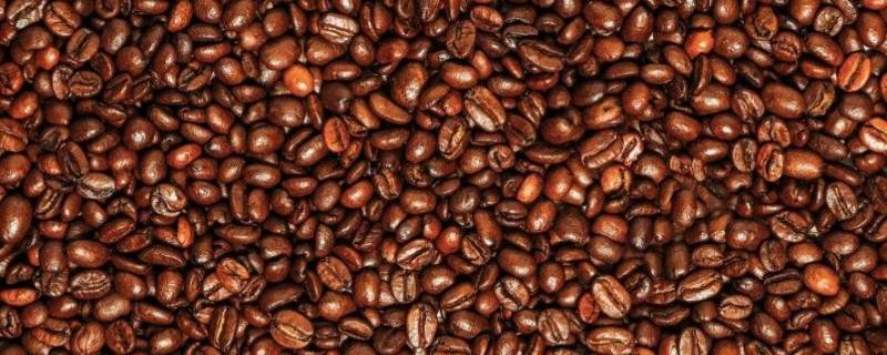 中烘豆和深烘豆区别（深烘豆和中烘豆的区别）