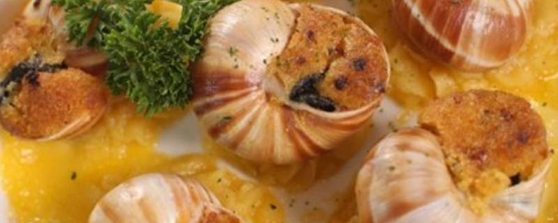 前菜有哪些（中餐前菜有哪些）