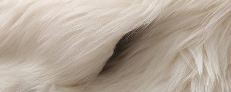 皮草可以干洗吗（皮草可以干洗吗?）