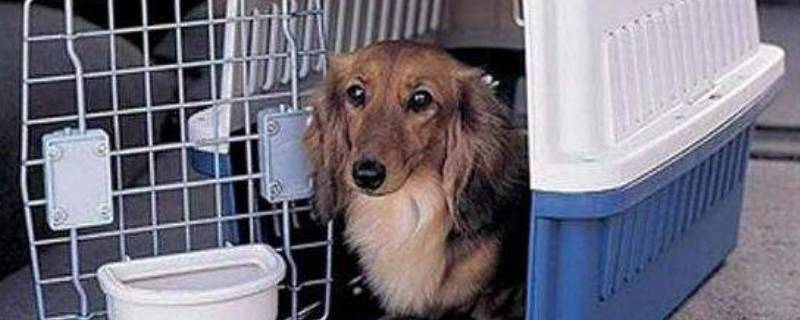 活物可以寄快递吗 快递能寄活物么