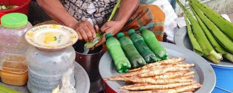 印度芦荟汁什么味道（印度芦荟汁到底什么味道）
