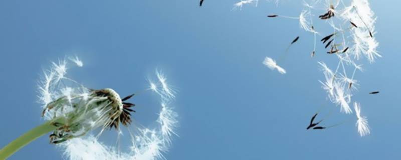 空间天气所指的风是什么（空间天气所说的风是哪种风）